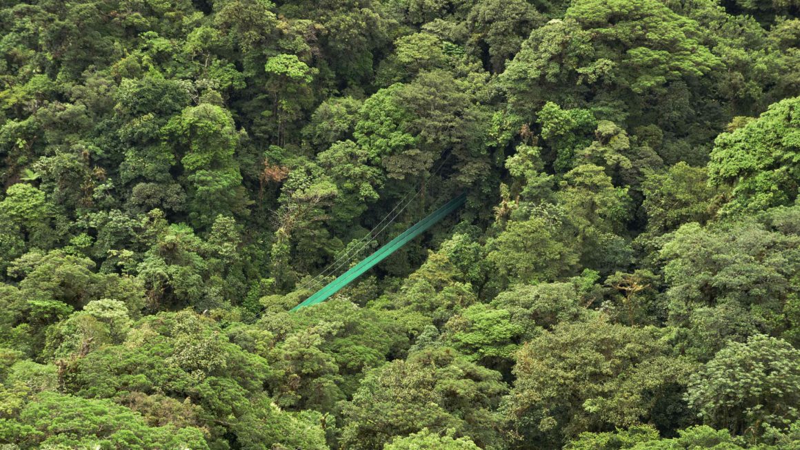 Monteverde hanging bridge