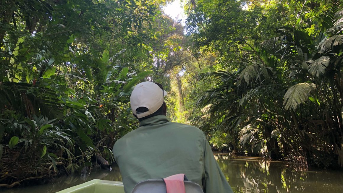 Nationaal Park Tortuguero