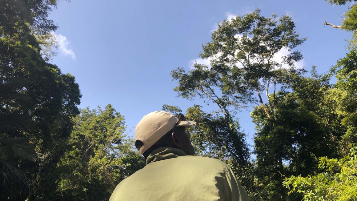 Gids Tortuguero Nationaal Park