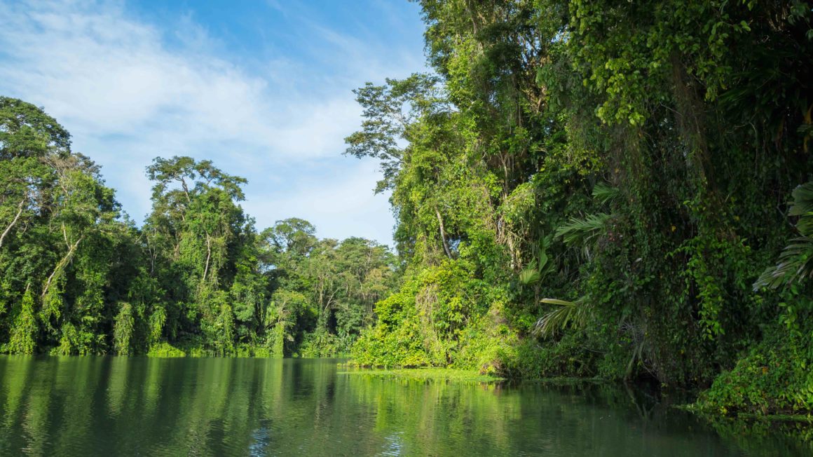 Nationaal Park Tortuguero