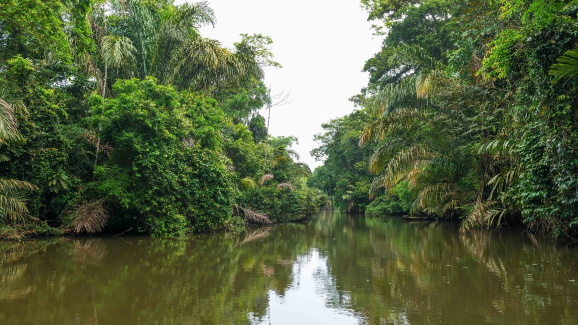 Tropische rivier in Tortuguero