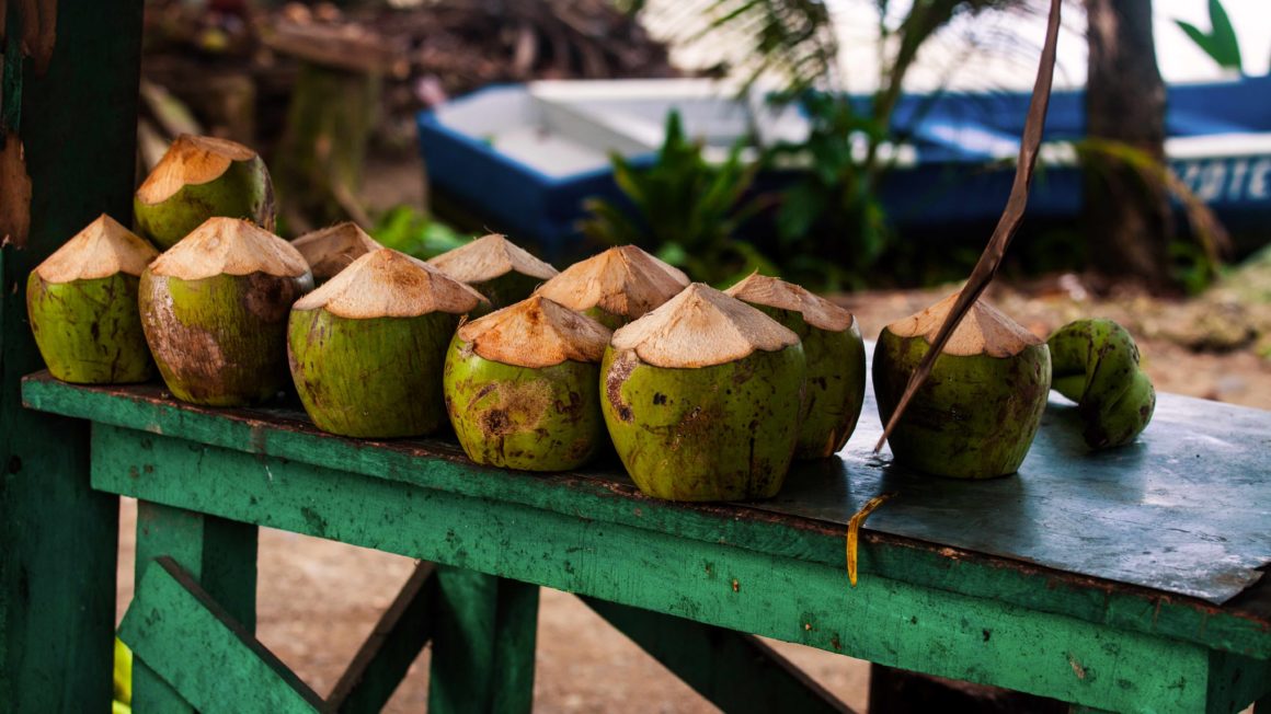 Kokosnoten Costa Rica