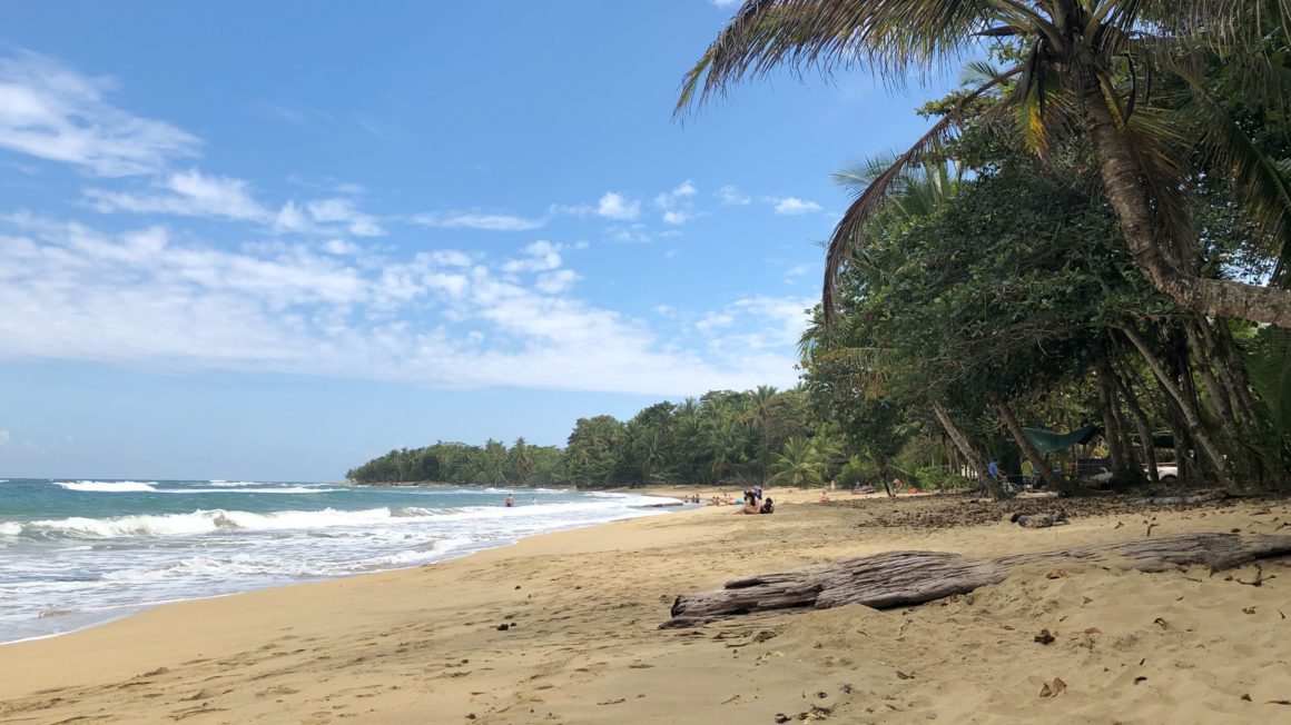 Playa Punta Uva