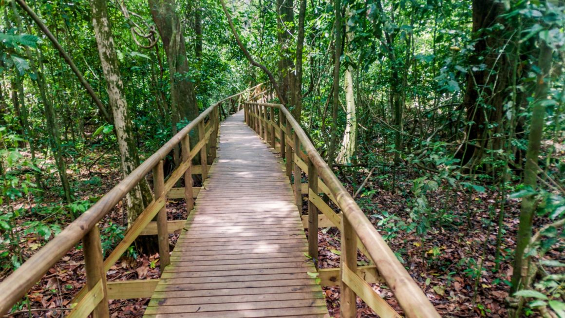 Wandelpad Manuel Antonio