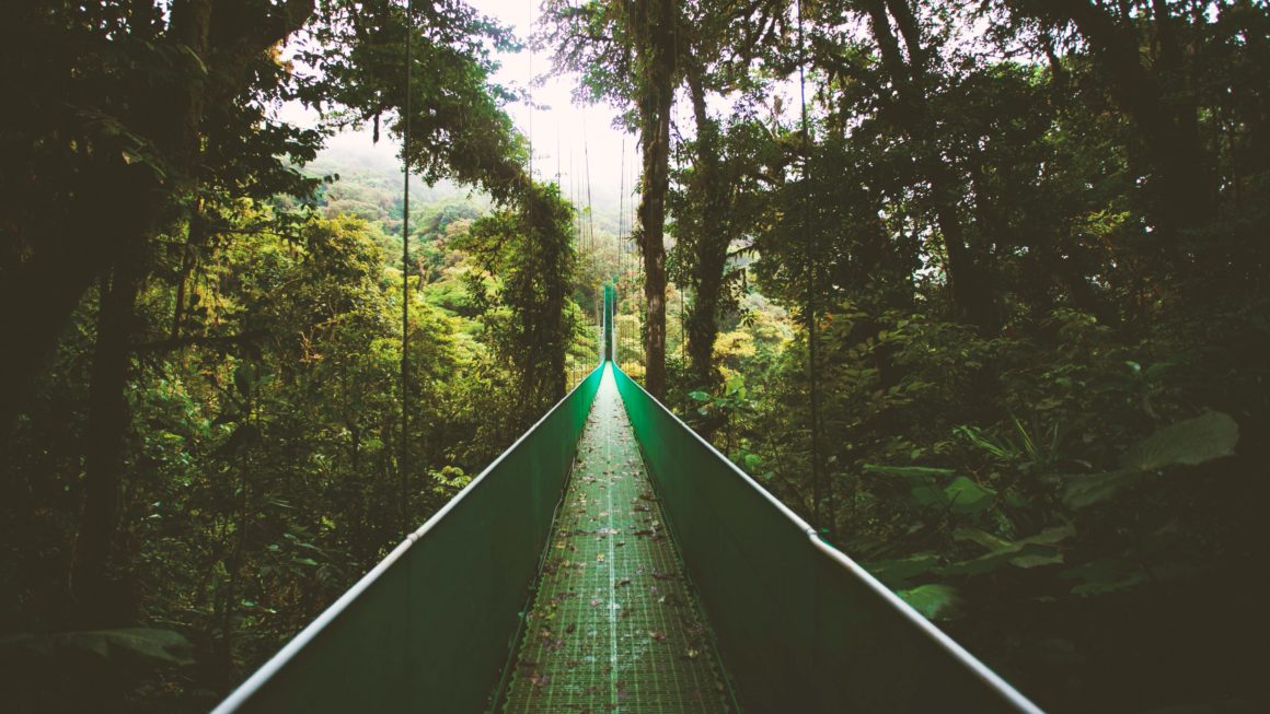 Hangbrug in Monteverde Cloud Forest
