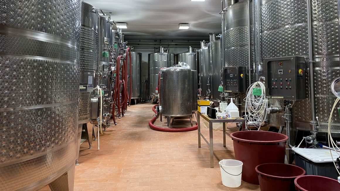 Rondleiding wijnmaker Valpolicella