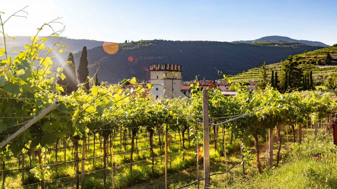 Valpolicella