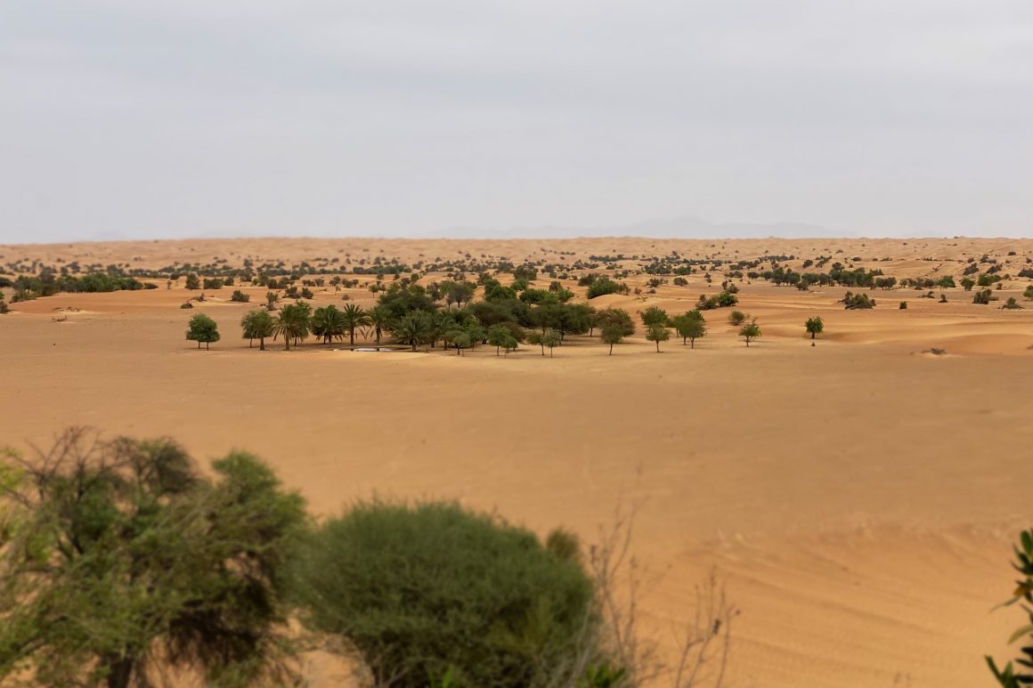 Al Maha Desert Resort