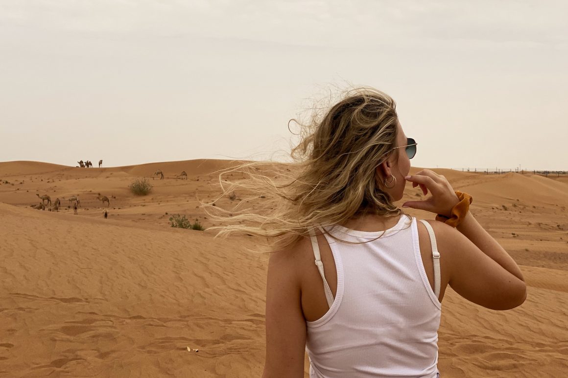 Kamelen Dubai woestijn